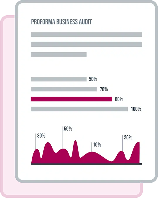 Proforma Business Audit